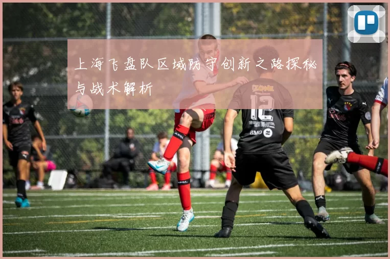 上海飞盘队区域防守创新之路探秘与战术解析