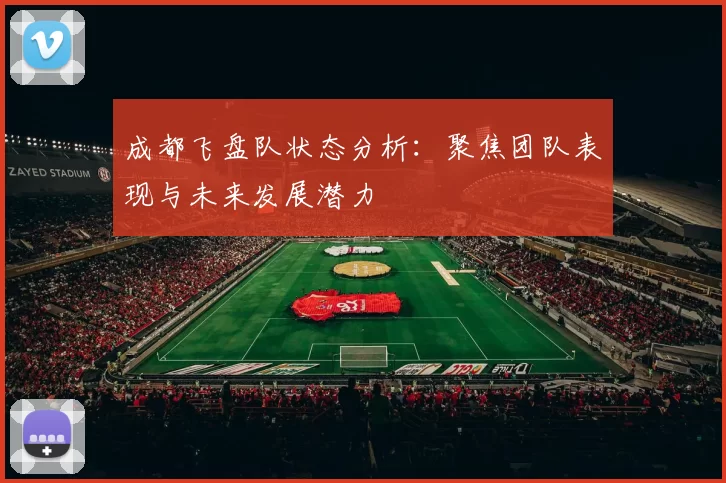 成都飞盘队状态分析：聚焦团队表现与未来发展潜力