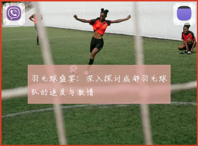 羽毛球盛宴：深入探讨成都羽毛球队的速度与激情