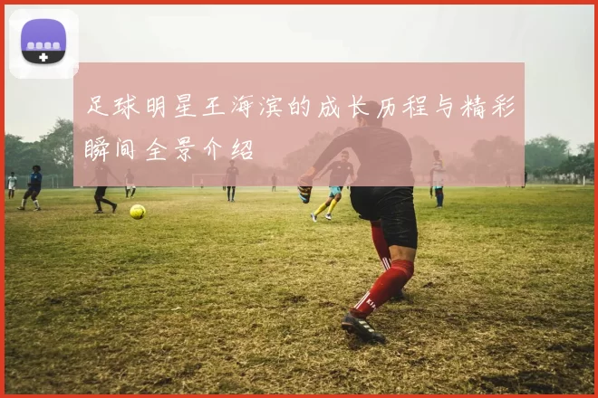 足球明星王海滨的成长历程与精彩瞬间全景介绍