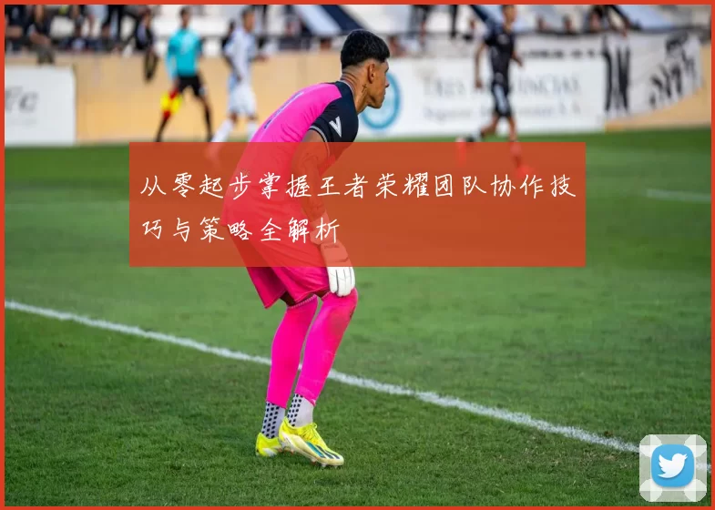 从零起步掌握王者荣耀团队协作技巧与策略全解析