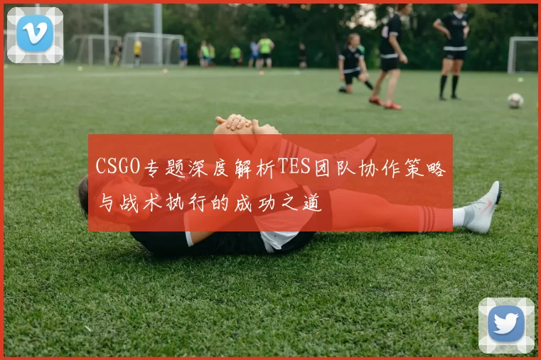 CSGO专题深度解析TES团队协作策略与战术执行的成功之道