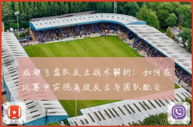 成都飞盘队反击战术解析：如何在比赛中实现高效反击与团队配合