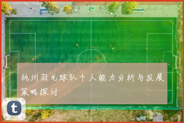 杭州羽毛球队个人能力分析与发展策略探讨